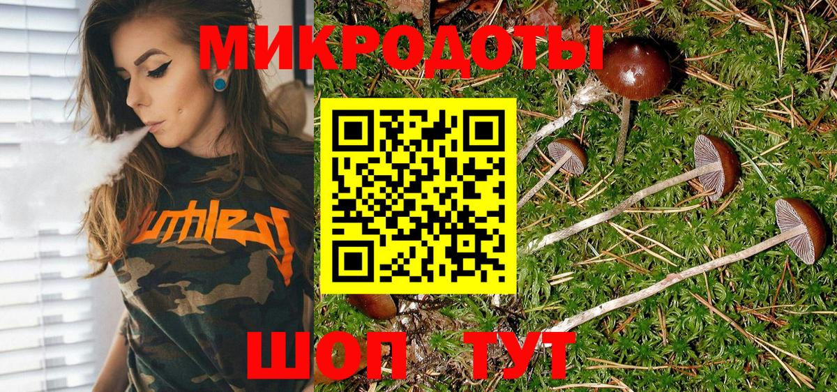Десногорск  Галлюциногенные грибы мухоморы  Псилоцибиновые грибы MAGIC MUSHROOMS  Вход с VPN 