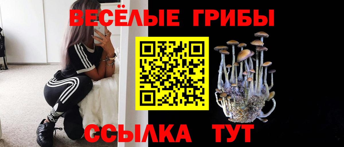 Галлюциногенные грибы GOLDEN TEACHER Десногорск